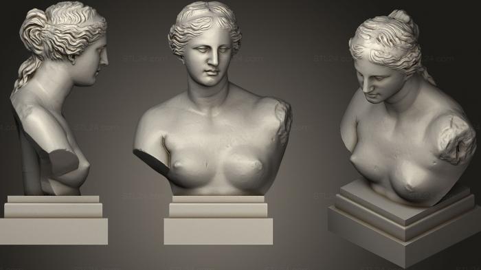 Бюсты и головы античные и исторические (Афродита бюст, BUSTA_0582) 3D модель для ЧПУ станка